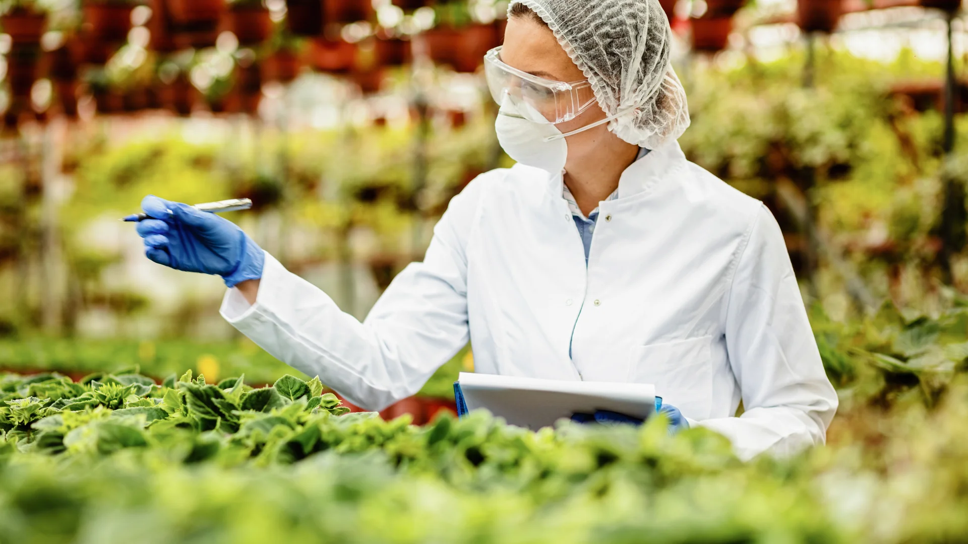 &iquest;Calidad o Inocuidad en alimentos?