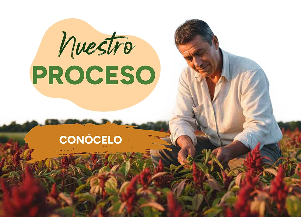 Nuestro proceso