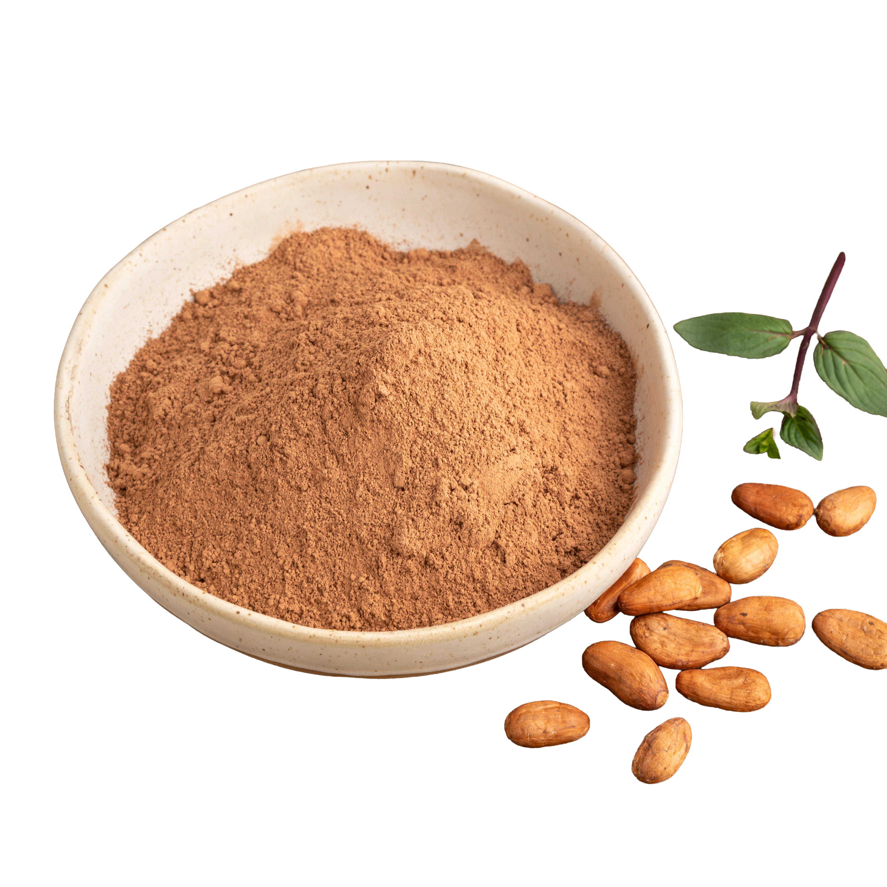 COCOA ORGANICA-7