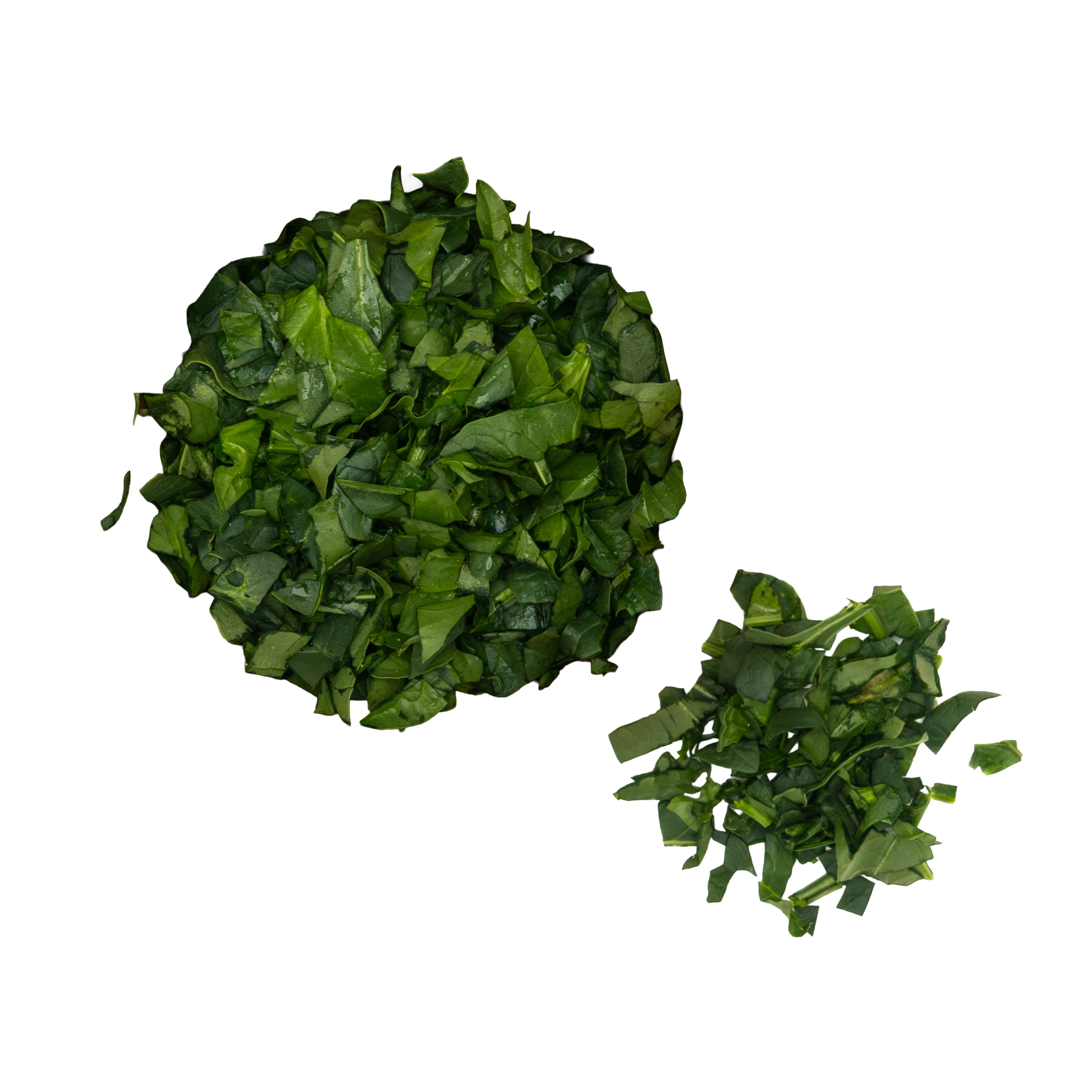 ESPINACA PICADA-4